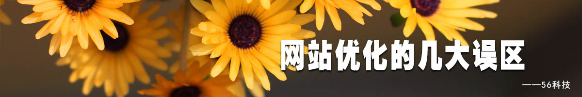网站优化几大误区.jpg