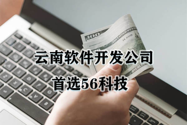 云南软件开发公司首选56科技