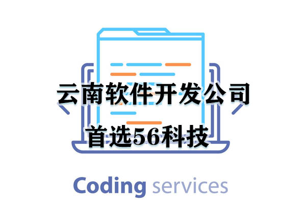 云南软件开发公司首选56科技