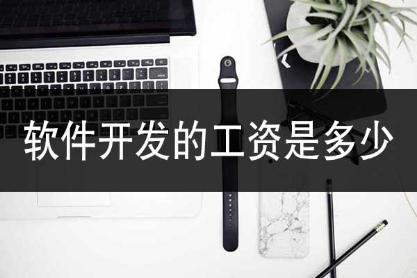 云南软件开发的工资一般是多少