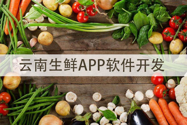 云南生鲜APP软件开发设计方案