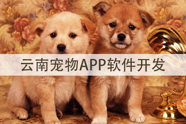 云南宠物APP软件开发设计方案