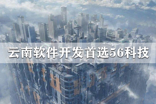 昆明靠谱软件定制价格