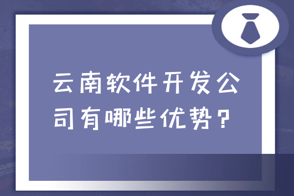 云南软件开发公司有哪些优势？