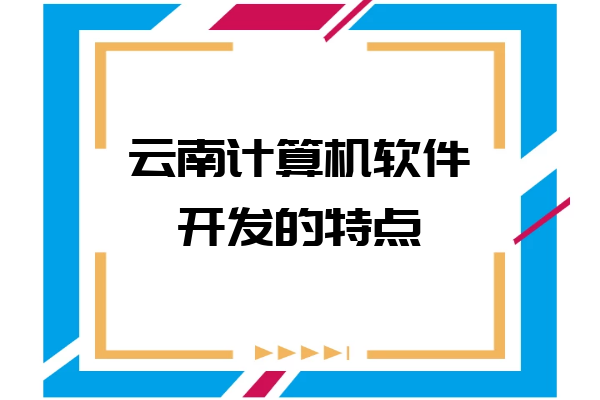 云南计算机软件开发的特点