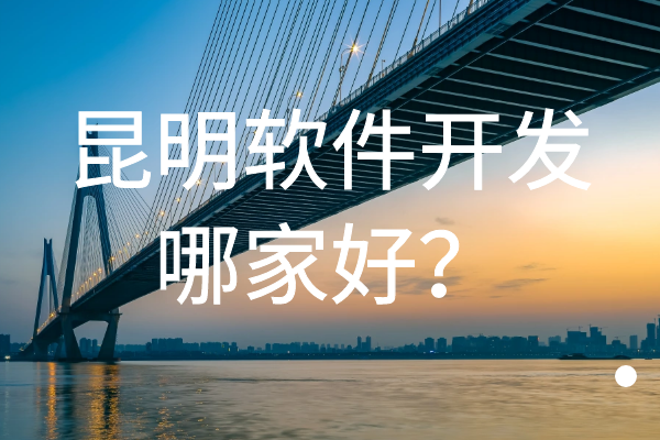 昆明软件开发哪家好？