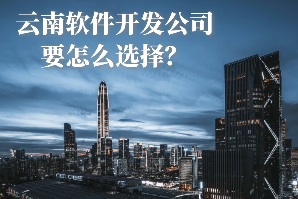 云南软件开发公司要怎么选择？