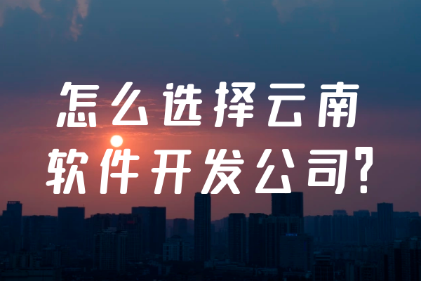 怎么选择云南软件开发公司？