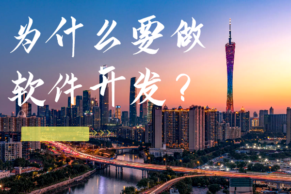 为什么要做软件开发？